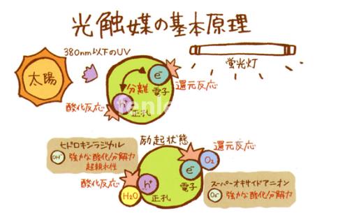 遵义专业保洁公司承接开荒外墙地毯家电除甲醛灭鼠等保洁业务(遵义清洁公司)